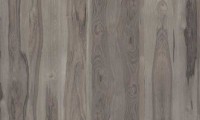 Taupe Hickory